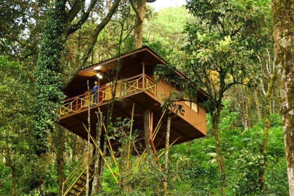 七泉种植园度假村 蒙纳 外观 照片