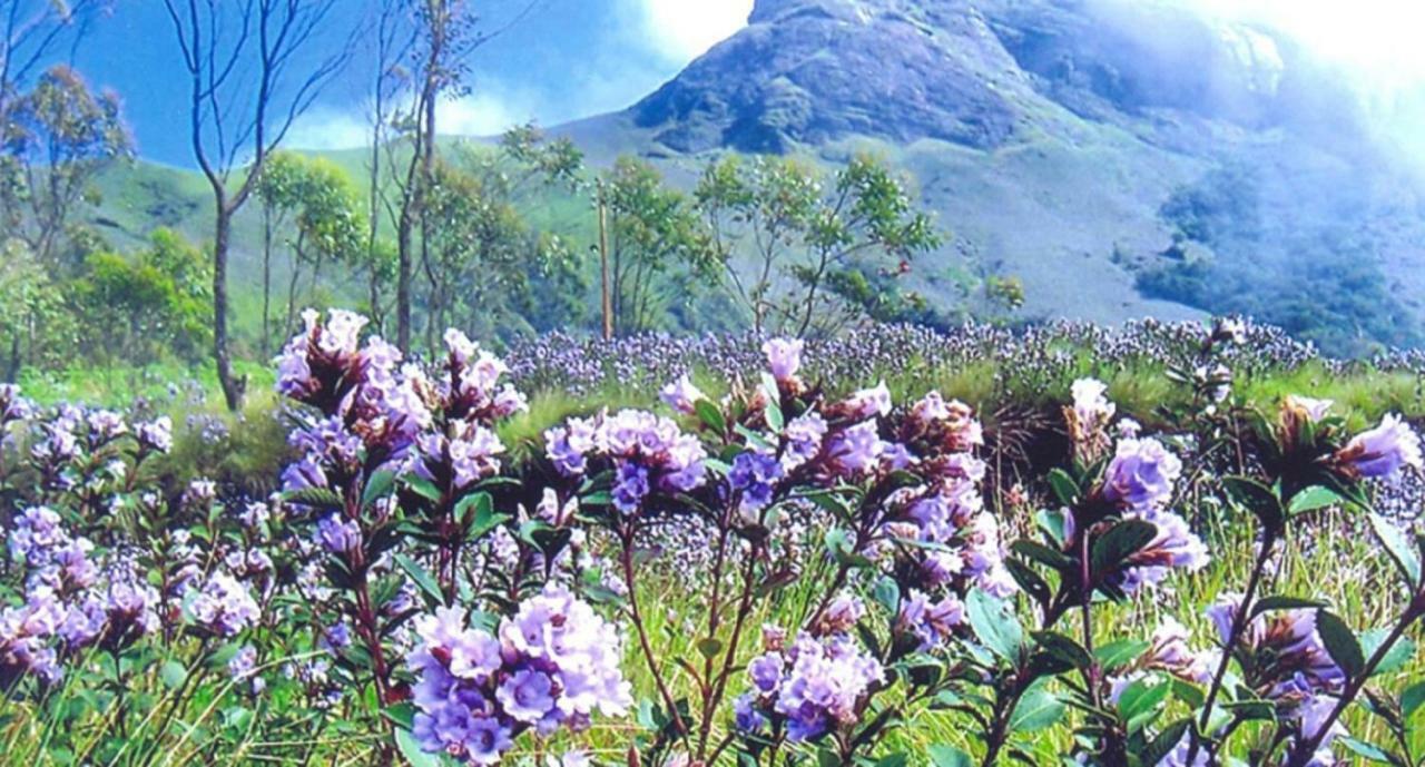 七泉种植园度假村 蒙纳 外观 照片