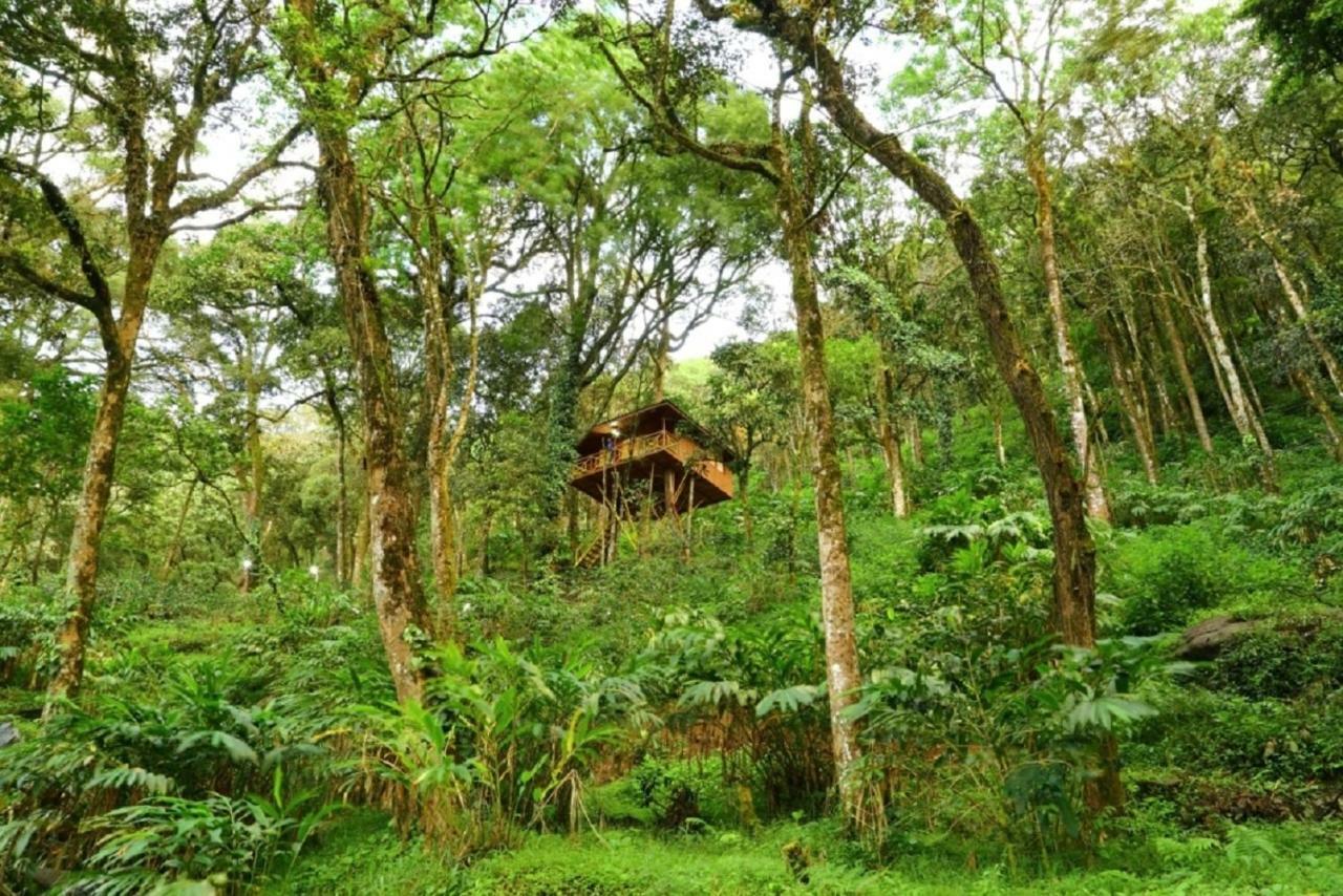 七泉种植园度假村 蒙纳 外观 照片